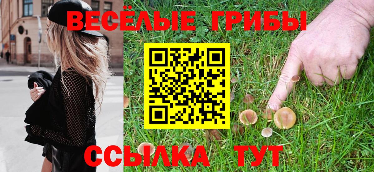 Галлюциногенные грибы Cubensis  Псилоцибиновые грибы Cubensis  Вход с VPN  Отрадное 